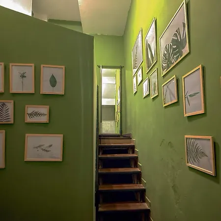 Lägenhet Olive By Humpback *