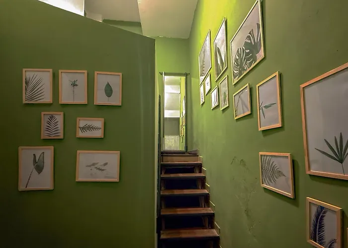 아파트 Olive By Humpback *